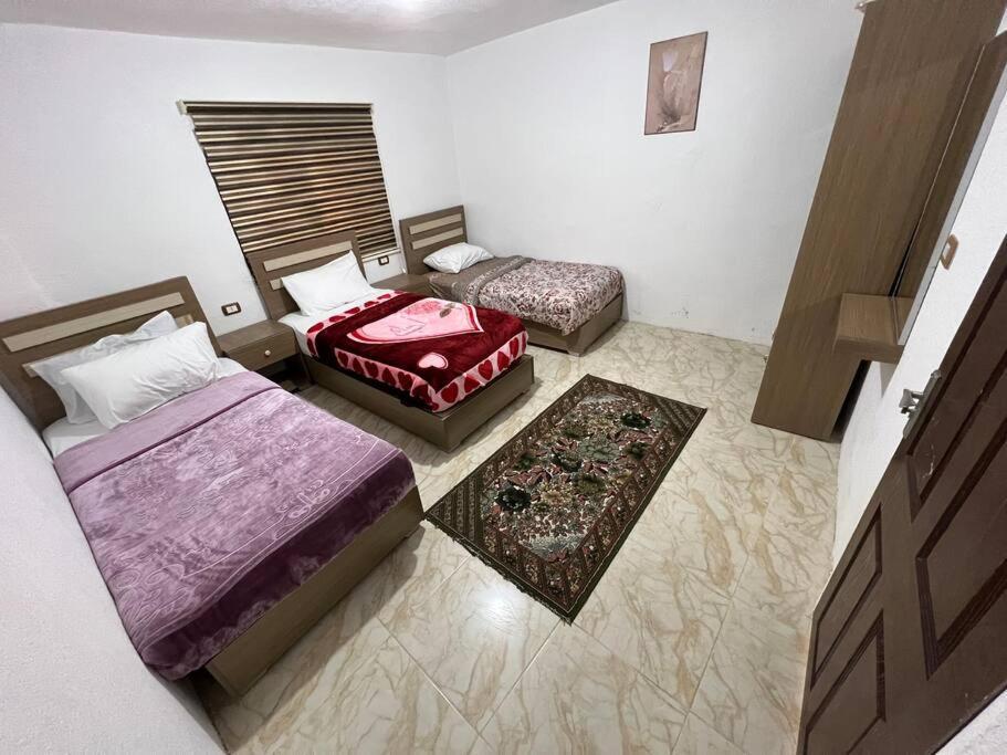 Z3 Apartment Wadi Musa Exterior foto