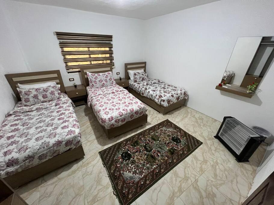 Z3 Apartment Wadi Musa Exterior foto