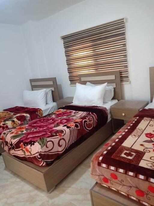 Z3 Apartment Wadi Musa Exterior foto